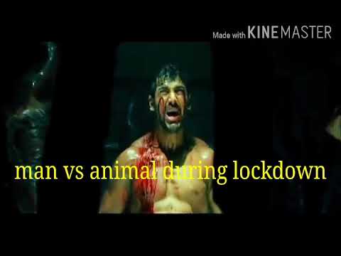 Man vs Animal During lockdown, significant