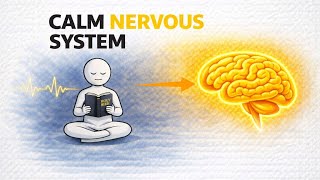 How God’s Word Calms Your Nervous System | Bible & Neuroscience Explained