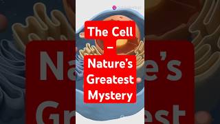 The Cell – Nature’s Greatest Mystery #Cells #Biology #NatureMysteries #ScienceExplained #DNA