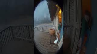 Rabbit got saved from the storm #rabbit #viral #trending #shorts #shortvideo #youtubeshorts #short
