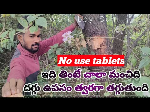 తుమ్మచెట్టు తట తింటే మనసుకి కలిగే అద్భుతమైన పరిణామాలు!