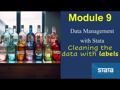 Adding labels to variables, data and value sets in #Stata
