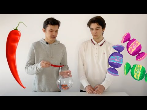 Qalampir va Konfetlar O'yini | #Algoritmlar (0-epizod)