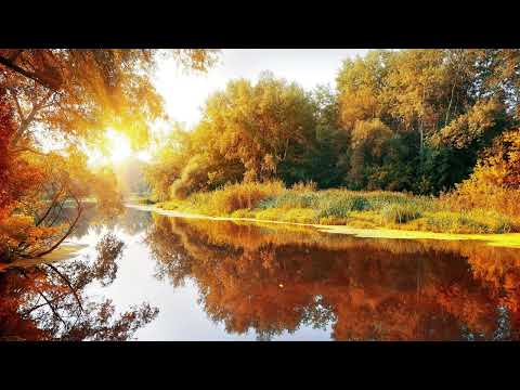 半杯清酒醉紅顏－夏小舟