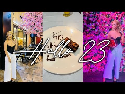 Birthday vlog .Dinner .After Party