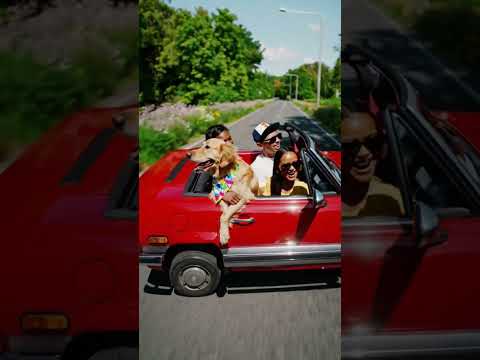 trip#viral #cute #cartoonbackgroundmusic #funnyanimal #cat #funny #viral #cute #cartoonbackgroundm