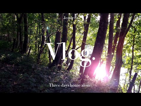 Vlog - Home Alone - 29/08/2021-31/08/2021