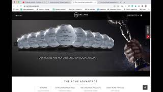 Review of acme group website by WP Development Company