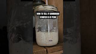 How Do You Know if Sourdough Starter is at Peak / Ready to Bake #sourdoughstarter #shorts