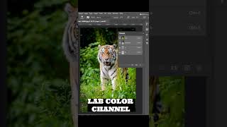 Photoshop Tips and tricks #photoshop #tips #photoshoptipsandtricks