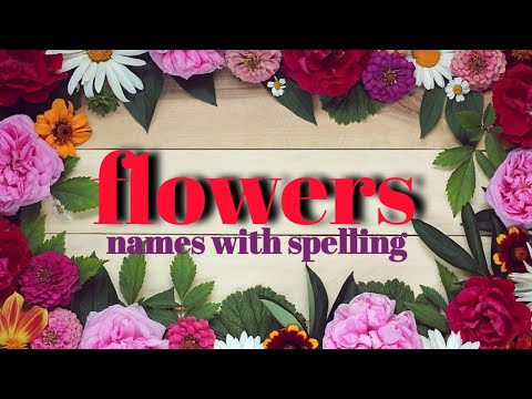 flowers name| flowers name in english | flowers name learning video| flowers name with spelling