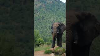 Feel the beauty of nature #naturelovers #nature #savetheworld #savethenature #beauty #natural