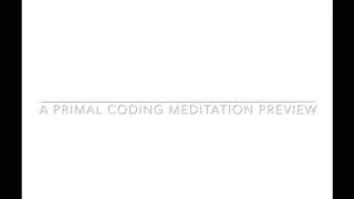 A Primal Coding Meditation Preview