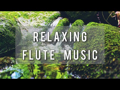 Relaxing Flute Music| Sleep Music| Calming Music| Flute Music| Relax| Flute| Spa| Study Music