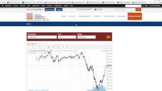 Commodities: Lean Hog Hedge Strategies with Futures & Options