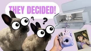 I Let My Bunnies 🐰 Choose My Next Cricut Project: Design & Make With Me ✨