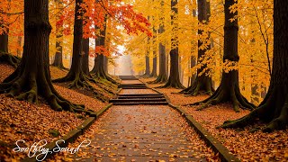 ดนตรีบำบัด🍁ทำนองฤดูใบไม้ร่วงเพื่อการบำบัดจิตใจและจิตวิญญาณที่สงบสุข