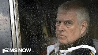 Epstein survivor on Andrew arrest: 'This is just the beginning'