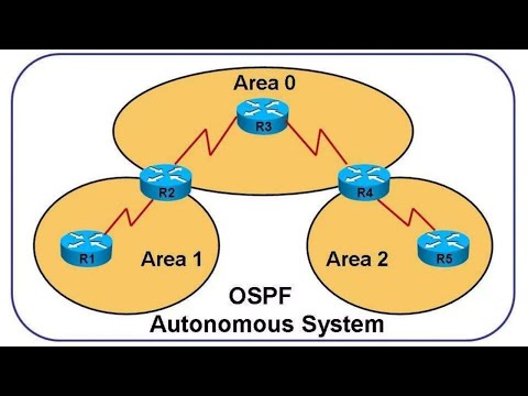OSPF - Interior Gatway Protocol  |  By CS23B1054  |  2nd Year CSE