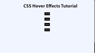 How to Create Animated Hover Buttons with HTML & CSS | Beginner Tutorial