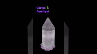 Procedural cactus amethyst made in #blender with #geometrynodes #blender3d #shorts