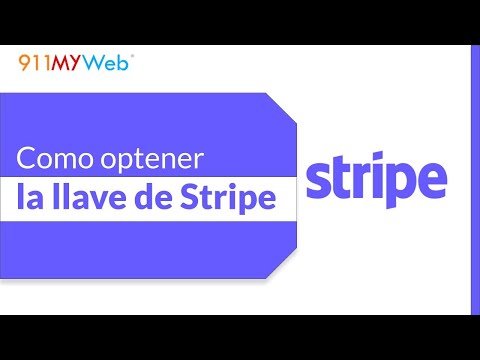 Como optener la llave de Stripe para poner en el website.