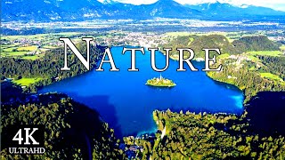 Beautiful Piano Relax Music -  Nature Sounds, Calming, Nature 4k, Meditation, Soft Relaxing