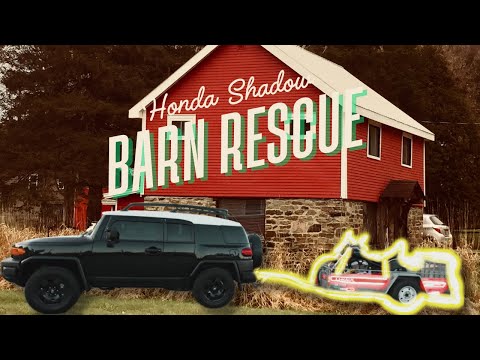 Barn Find! Resurrecting a 1995 Honda Shadow 🛠️ (Build Series Ep. 1)
