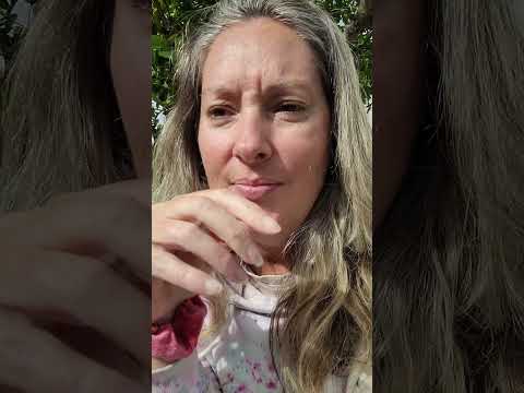 DAY 13: Big Day! All Things Coming Together