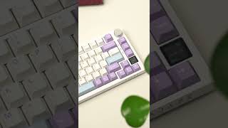 Incredible budgeted AK820 PRO with a mini screen? That's insane!  #mechkeyboard #mechkeys