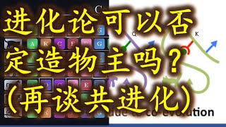 短讲:进化论可以否定造物主吗?(再谈共进化, Co-Evolution)