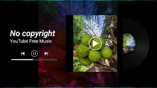 No Copyright || YouTube Free Audio || audio Library youtube || copyright free music 2023