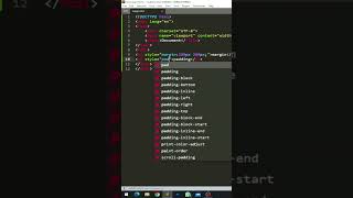 How to Use Margin and Padding in CSS Like a Pro  #shorts