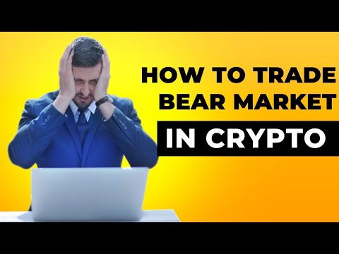 How to trade the Cryptocurrency bear market and make profit (Private)