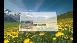 Sitemagic CMS - 3D Web Design
