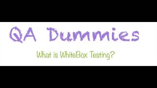What is Whitebox Testing?