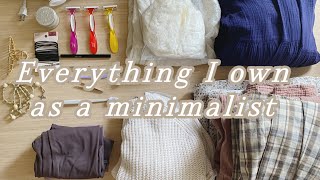 Everything I own as a minimalist 