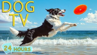 DOG TV: Best Video to Prevent Boredom & Anxiety for Dogs While You're Away - Music for Dogs Happy