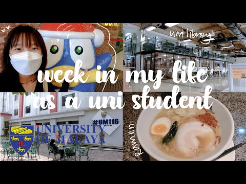 UM / Universiti Malaya Vlog / Pavilion / Don Don Donki / Machi Machi in Malaysia