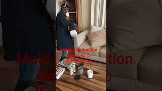 #MoldDisinfectionKenya #MoldRemovalNairobi#Molds#BestMoldTreatment #MoldFreeLiving #KenyaMoldExperts