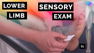 Sensory Assessment of the Lower Limbs - OSCE Clip | UKMLA | CPSA | PLAB 2