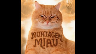 Montagem Miau - Ay mi gatito miau miau