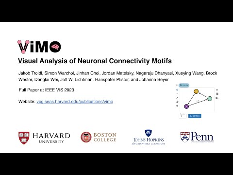 Vimo: Visual Analysis of Neuronal Connectivity Motifs (VIS 23)