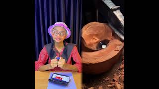 Type Of Cheaters In Exam 🤯 Aur Backbencher 😎 #shorts #funny #viralvideos #exam