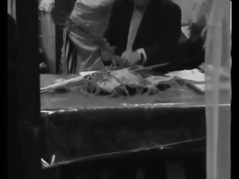 Hoshana Rabba An observational Documentary...Part of a Box Set Series