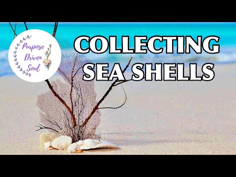 RELAXING MEDITATION MUSIC 34: Collecting sea shells is my treasured form of simple things & peace