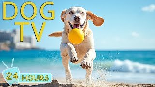 DOG TV: Best Videos to Soothe Dogs Anxiety & Boredom While You're Away - Collection Music for Dogs