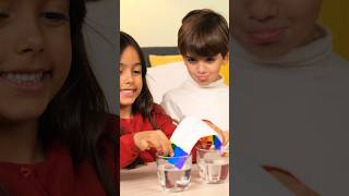 Fun Rainbow Water Science Experiment for Kids 🌈 #rainbow #scienceexperiements