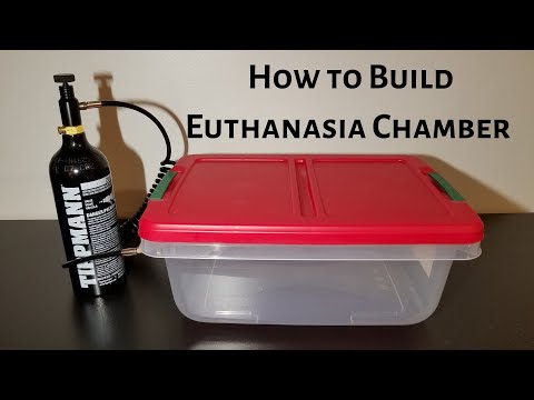 Feeder Rat Co2 Euthanasia Chamber Build