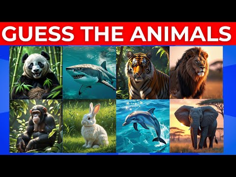 Herbivores Carnivores and Omnivores for kids | Animals Eating Habits with example